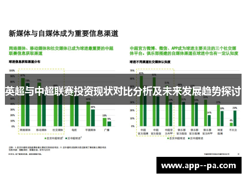 英超与中超联赛投资现状对比分析及未来发展趋势探讨