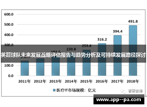 英超球队未来发展战略评估报告与趋势分析及可持续发展路径探讨