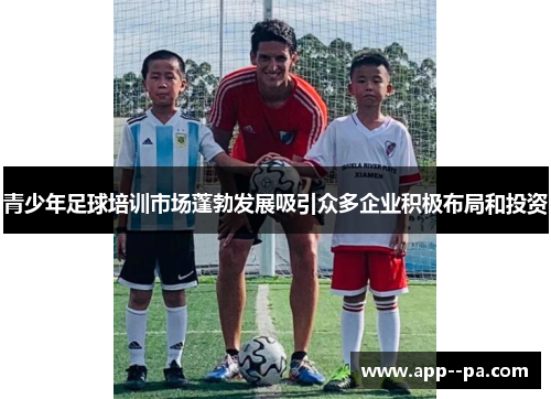 青少年足球培训市场蓬勃发展吸引众多企业积极布局和投资