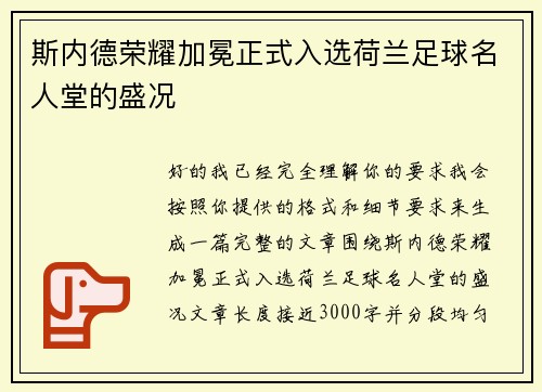 斯内德荣耀加冕正式入选荷兰足球名人堂的盛况